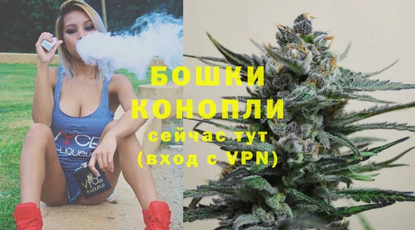 ALPHA PVP Краснослободск