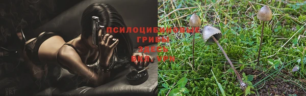бошки Коряжма