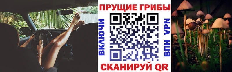 закладка  мега сайт  Галлюциногенные грибы мицелий  Краснокаменск 