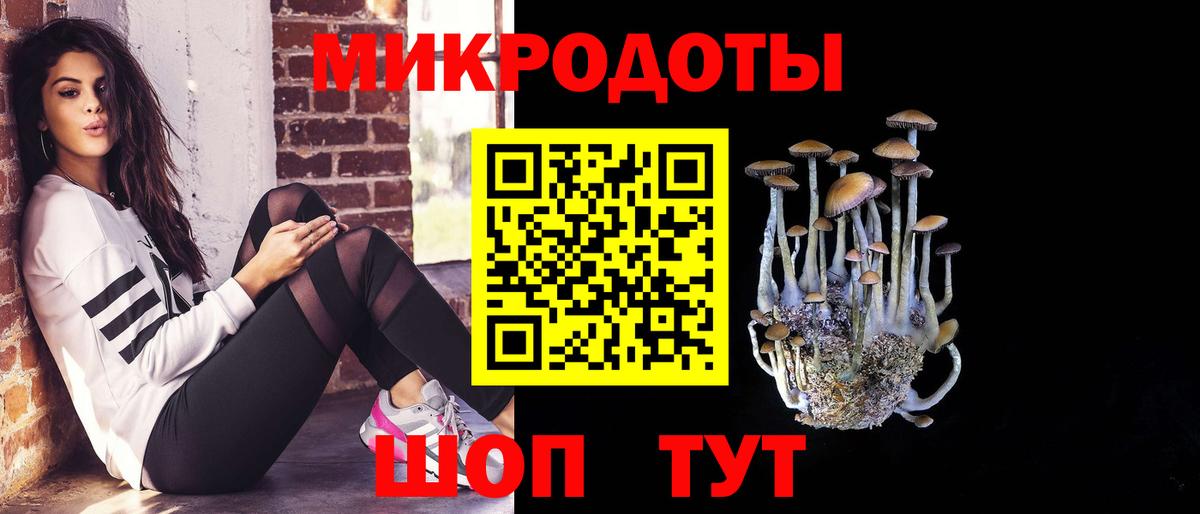 Галлюциногенные грибы Psilocybine cubensis Краснокаменск